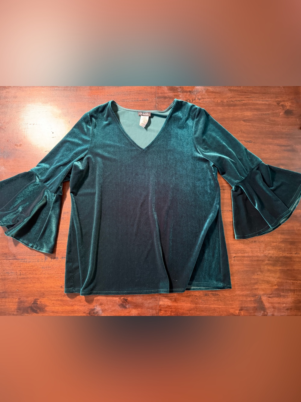 Prelude soft stretchy green velvet bell sleeve witchy boho top
